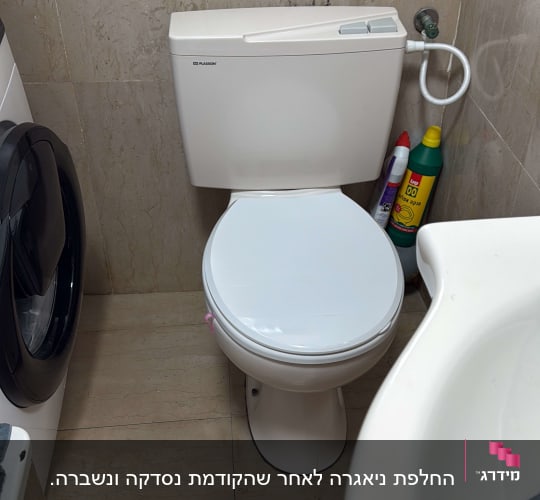 אסלה עומדת עם ניאגרה גלויה וצינור בידה בחדר שירותים